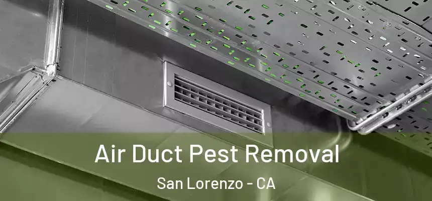  Air Duct Pest Removal San Lorenzo - CA