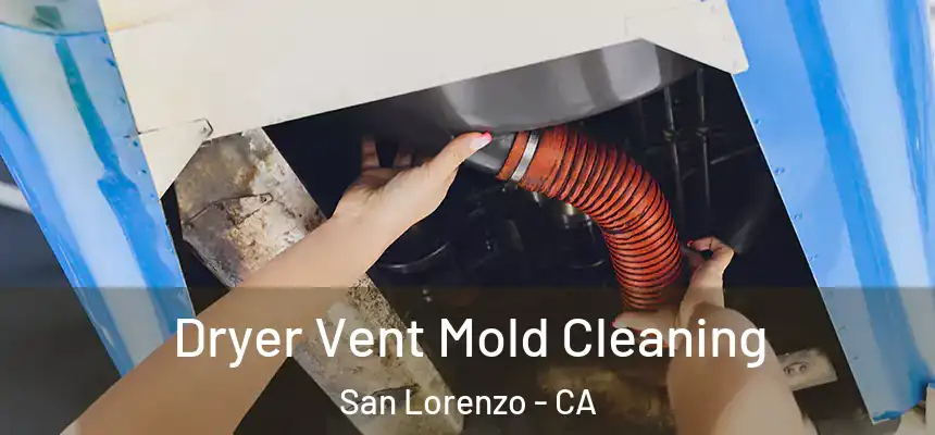  Dryer Vent Mold Cleaning San Lorenzo - CA