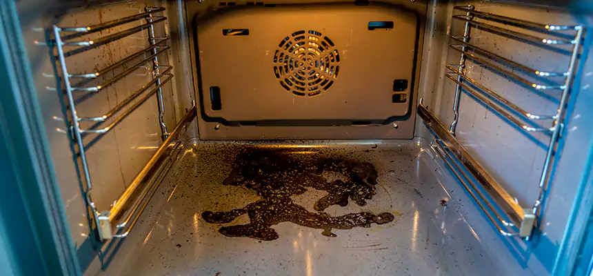 Our Dryer Vent Mold Cleaning Services in San Lorenzo, CA