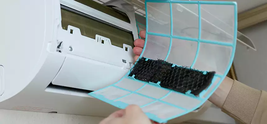 Gentle Ductwork Odor-Control Pet Dander Duct Cleaning in San Lorenzo, CA