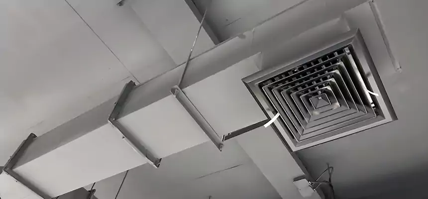 Our Rodent Droppings In Vents Services in San Lorenzo, CA