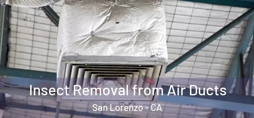  Insect Removal from Air Ducts San Lorenzo - CA