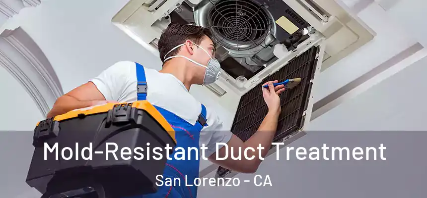  Mold-Resistant Duct Treatment San Lorenzo - CA