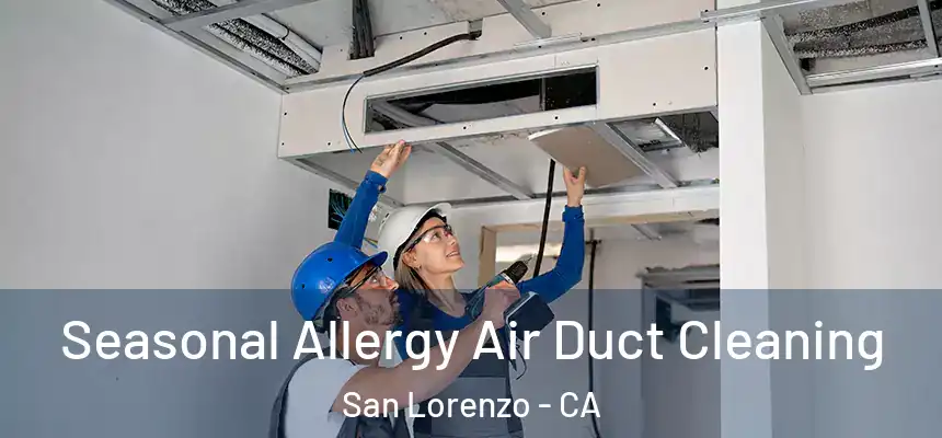  Seasonal Allergy Air Duct Cleaning San Lorenzo - CA