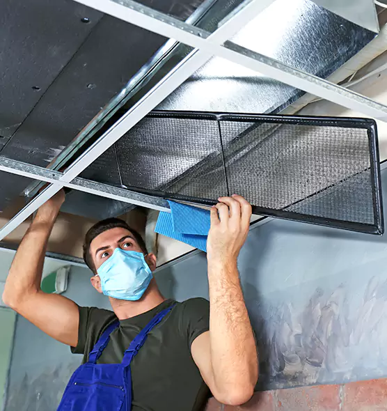About Air Duct Bacteria Removal in San Lorenzo