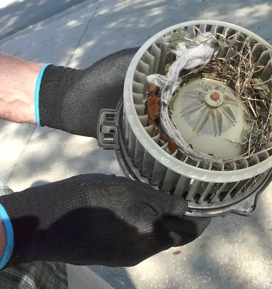 About Air Duct Mice Removal in San Lorenzo, CA