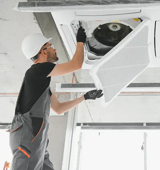 About Air Duct Rodent Removal in San Lorenzo, CA