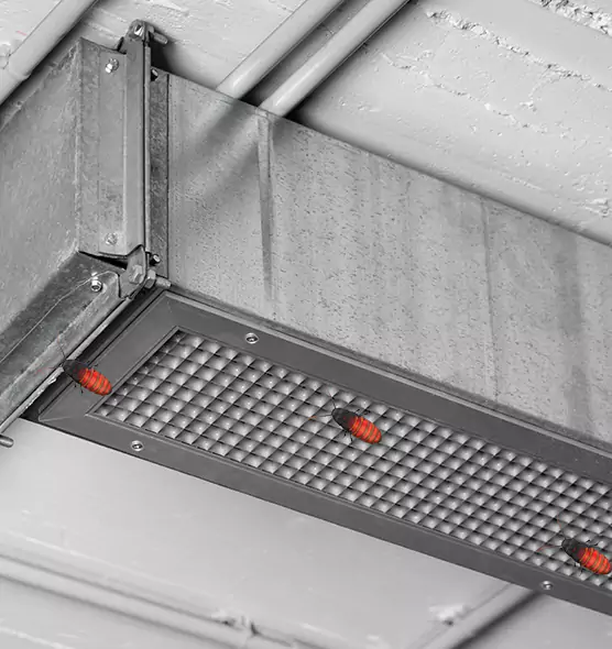 Affordable Insect Removal from Air Ducts in San Lorenzo, CA