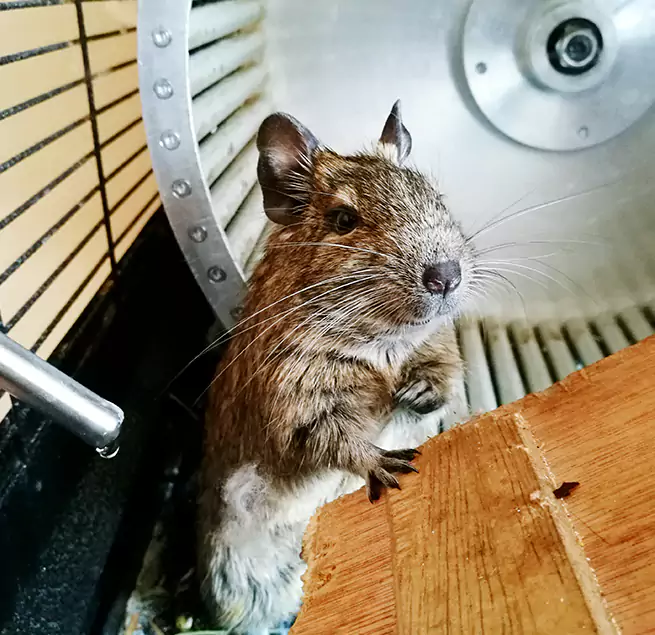 Why Homeowners & Businesses Trust Us San Lorenzo, CA