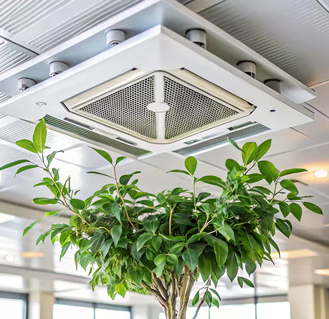 Why Homeowners & Businesses Trust Us in San Lorenzo, CA?