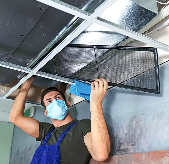 Why Homeowners Businesses Trust Us in San Lorenzo, CA